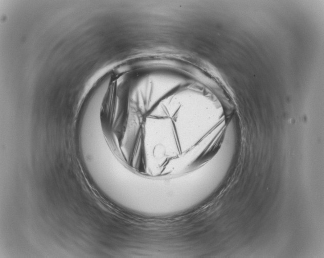 X0000085211320200704091856