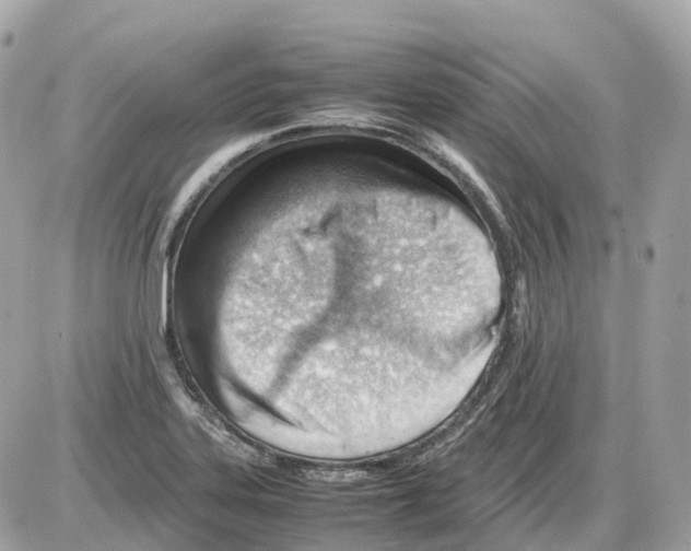 X0000085211323200704091856