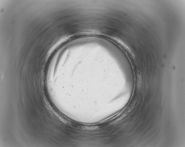 X0000085211325200704091856