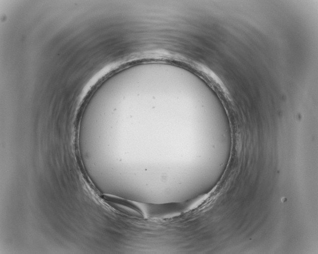 X0000085211326200704091856