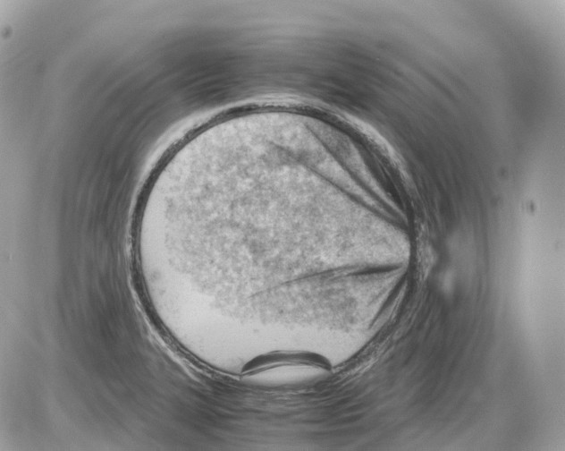 X0000085211327200704091856