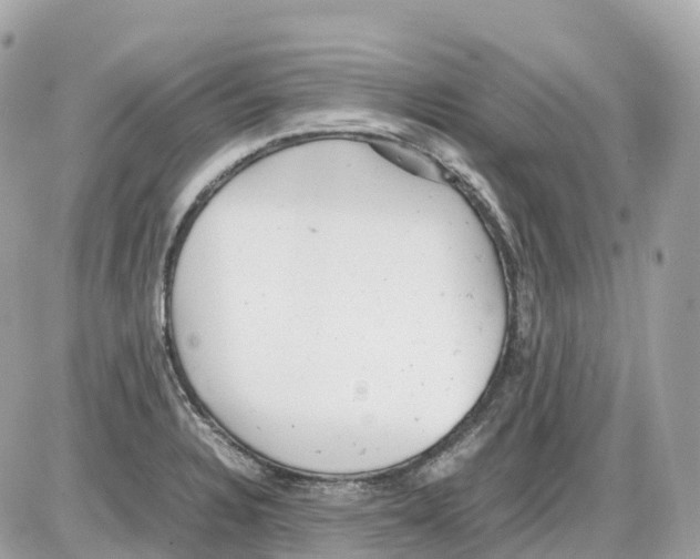 X0000085211328200704091856