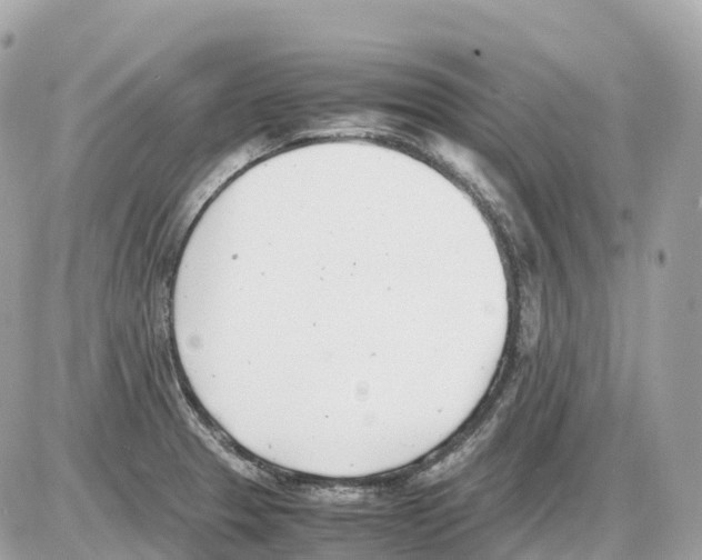 X0000085211329200704091856