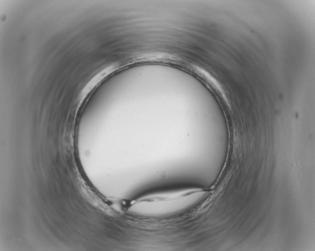 X0000085211330200704091856