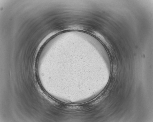 X0000085211331200704091856