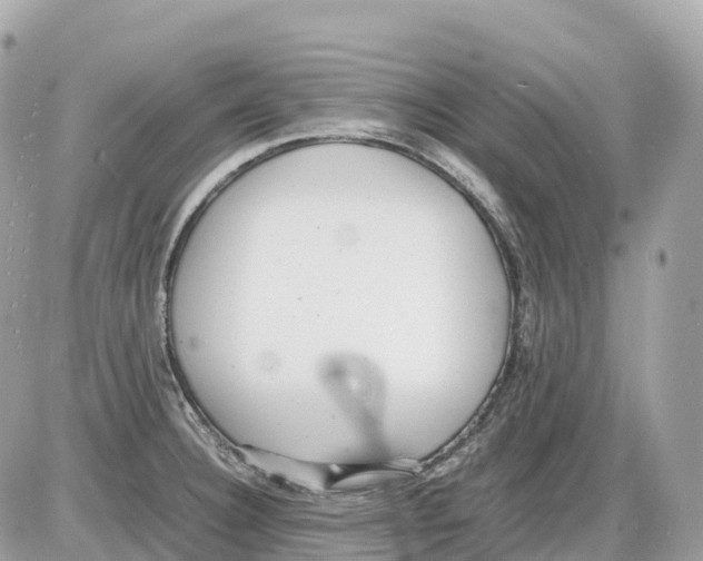 X0000085211332200704091856