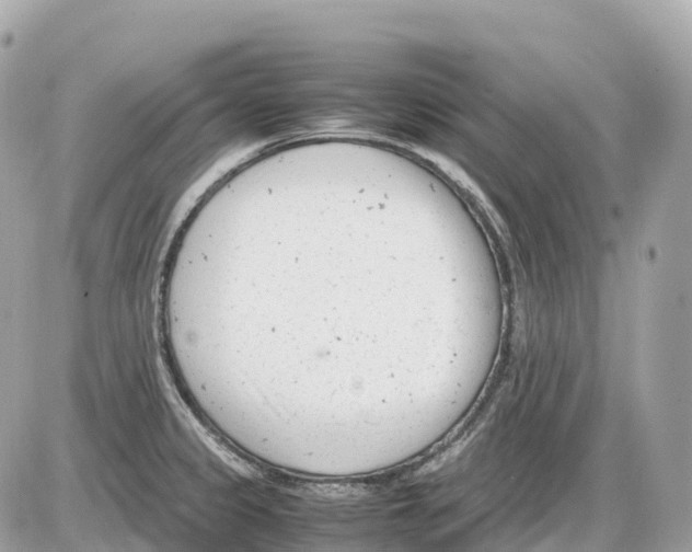 X0000085211333200704091856