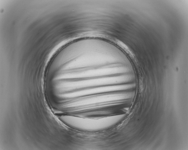 X0000085211334200704091856