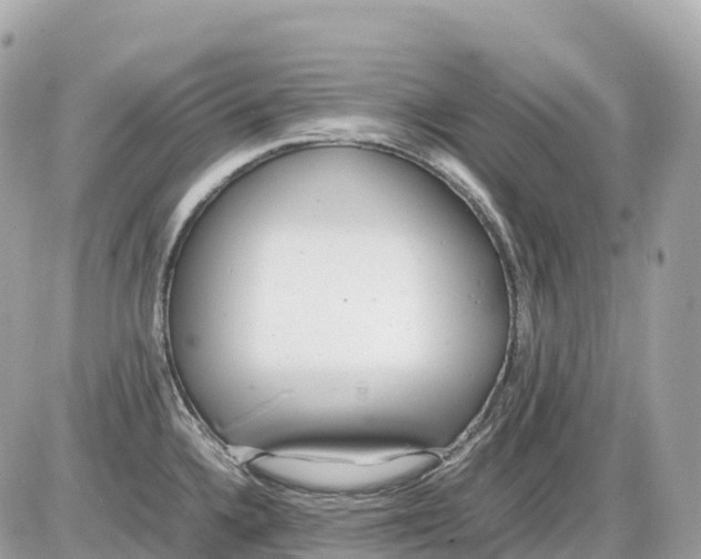 X0000085211336200704091856