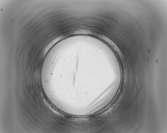 X0000085211337200704091856