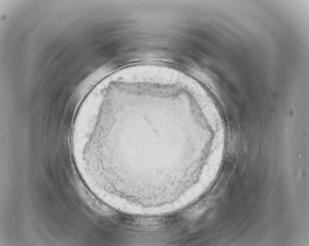 X0000085211338200704091856