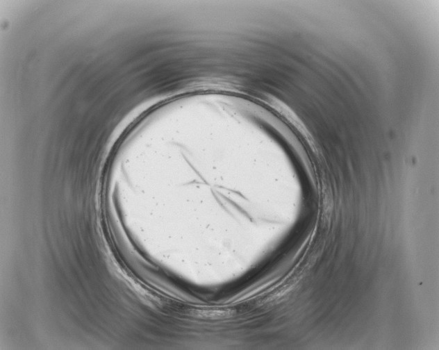 X0000085211339200704091856