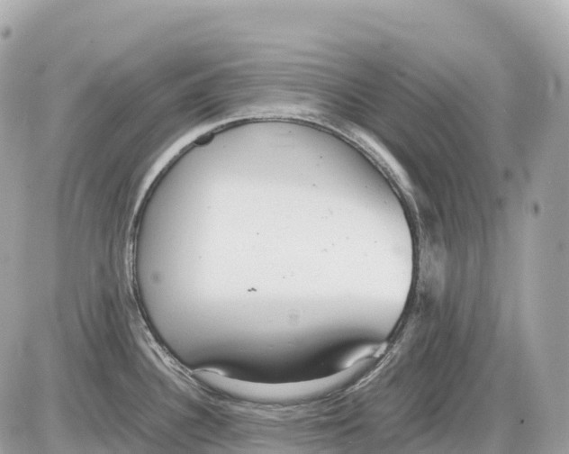 X0000085211340200704091856