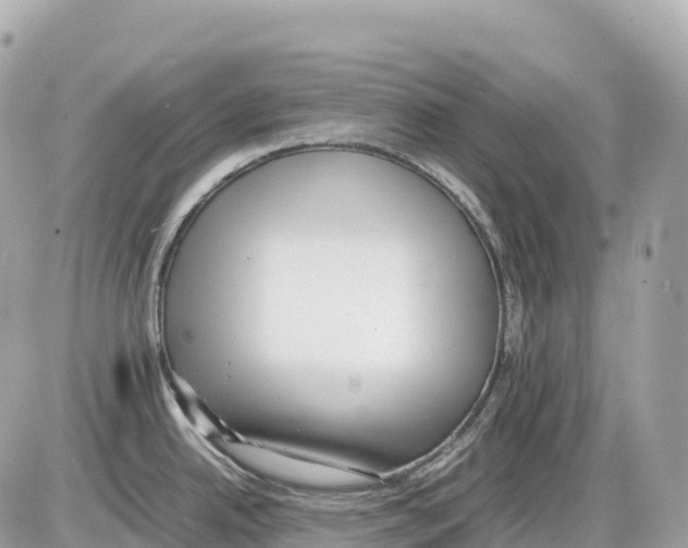 X0000085211342200704091856