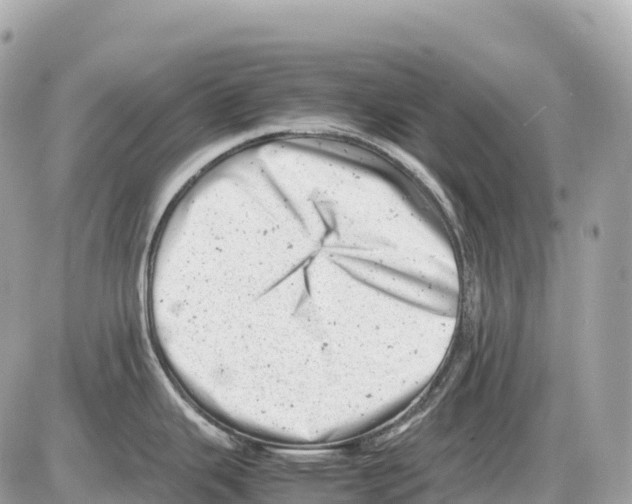 X0000085211343200704091857