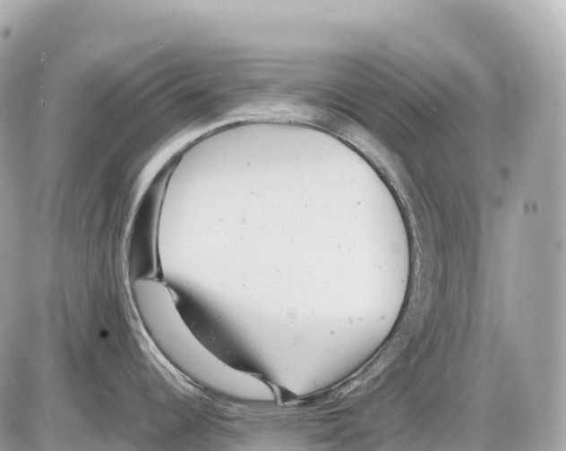 X0000085211344200704091857