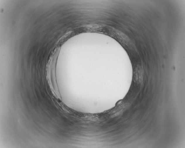 X0000085211346200704091856