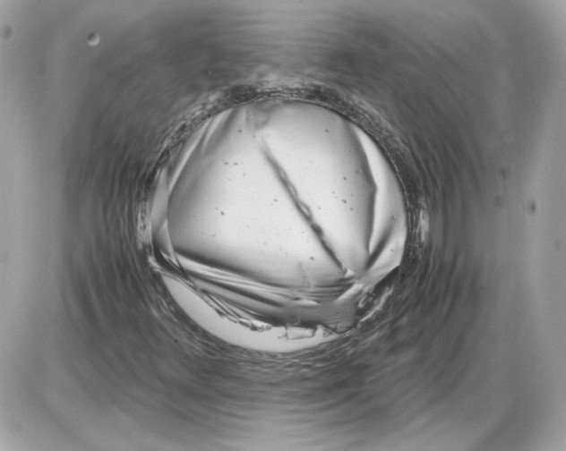 X0000085211348200704091856