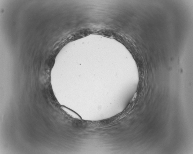 X0000085211349200704091856