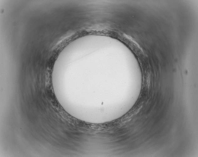 X0000085211350200704091856