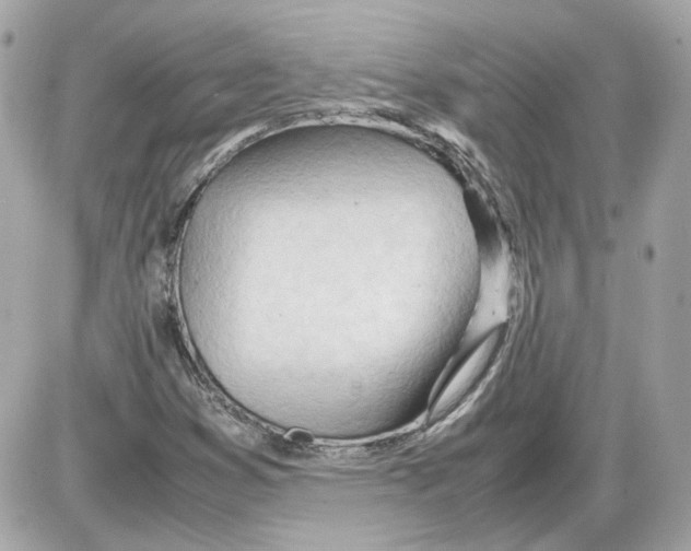 X0000085211353200704091856