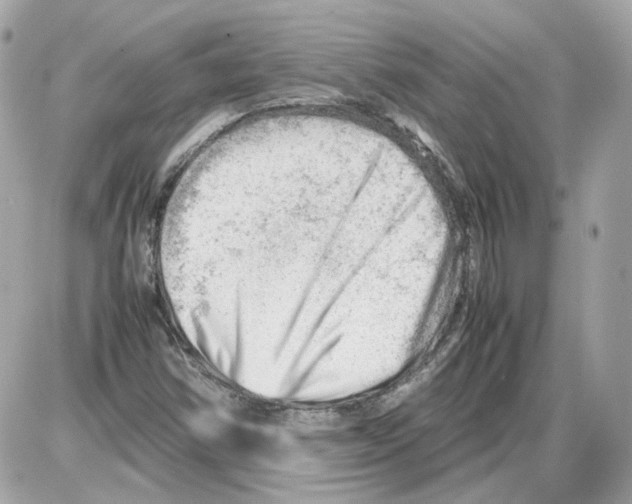 X0000085211354200704091856