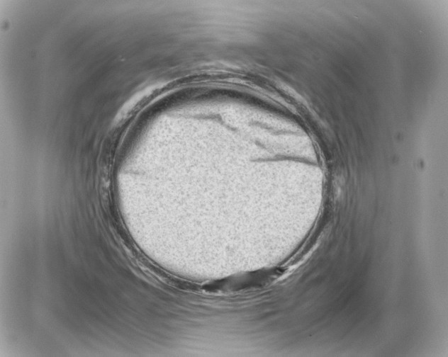 X0000085211355200704091856