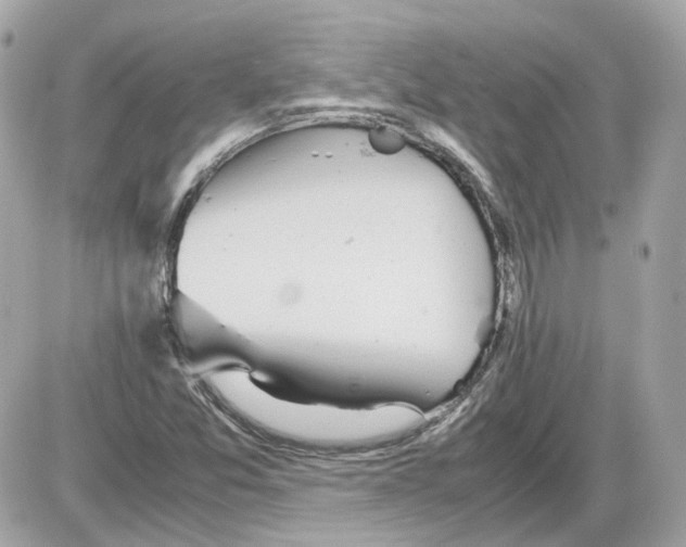 X0000085211357200704091856