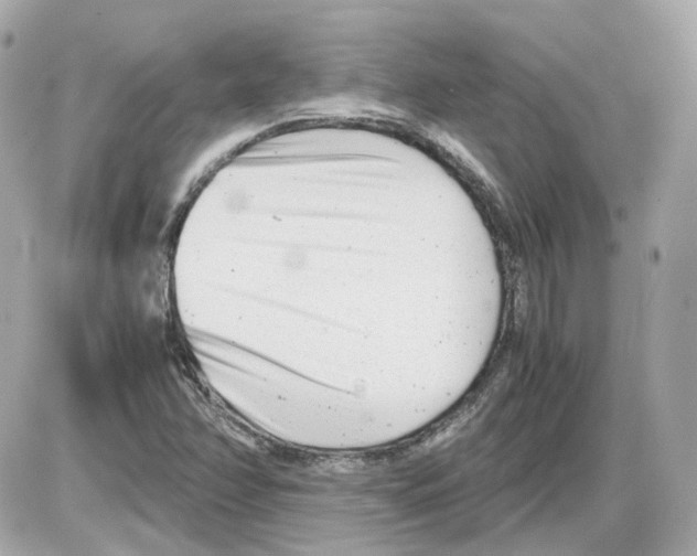 X0000085211358200704091856