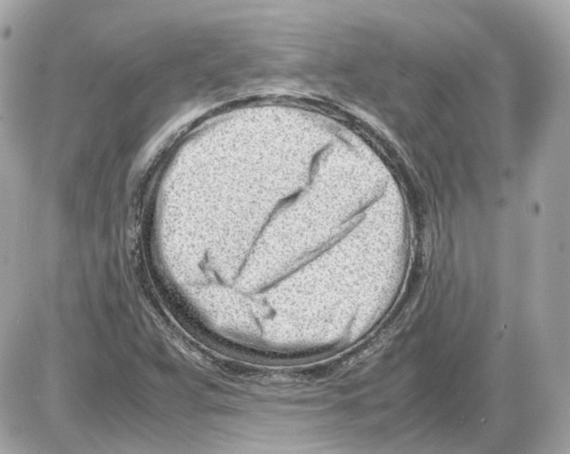 X0000085211359200704091856