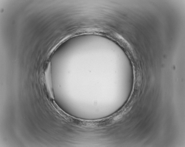 X0000085211361200704091855