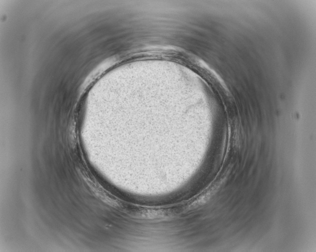 X0000085211362200704091855