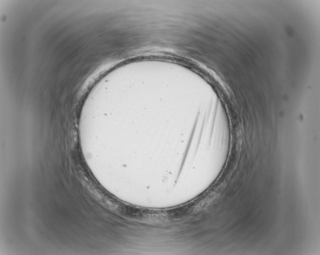 X0000085211363200704091855