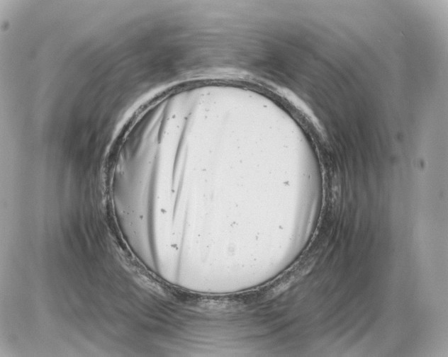 X0000085211364200704091855