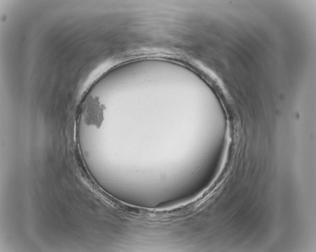 X0000085211365200704091855