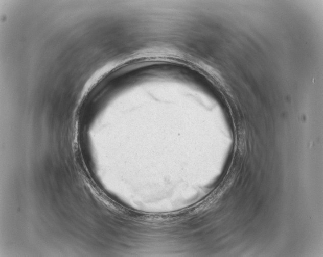 X0000085211366200704091855