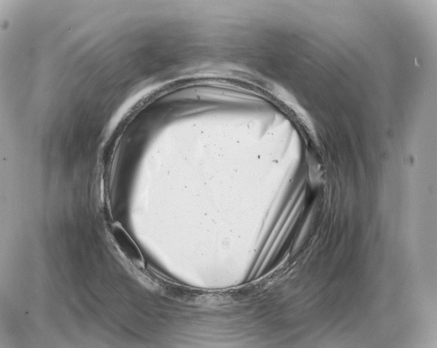 X0000085211368200704091855