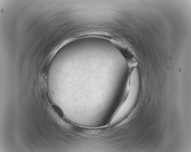 X0000085211369200704091855