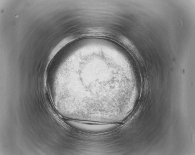 X0000085211370200704091855