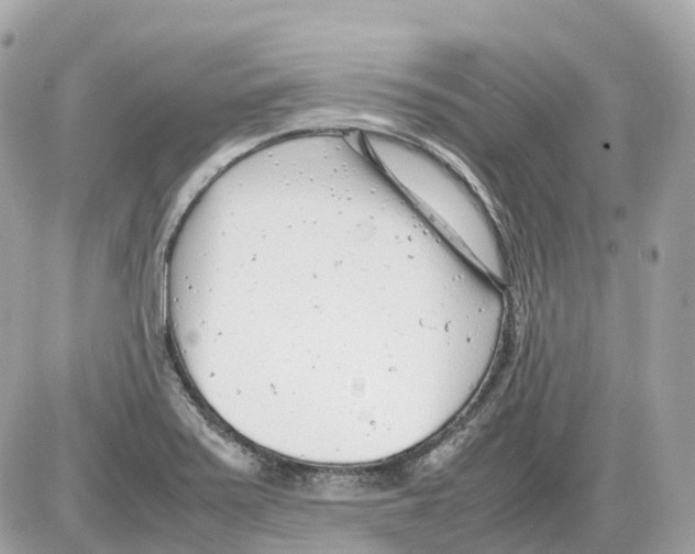 X0000085211371200704091855