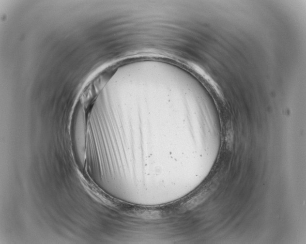 X0000085211372200704091855