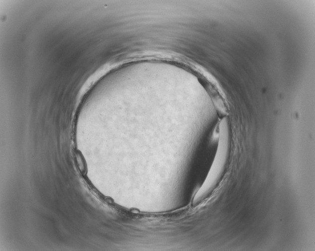 X0000085211373200704091855