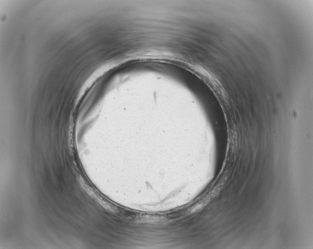 X0000085211374200704091855