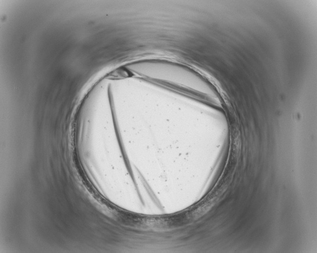 X0000085211375200704091855