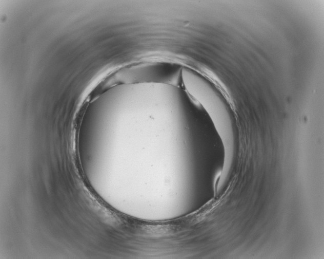 X0000085211376200704091855