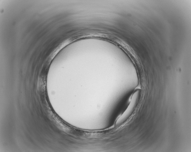 X0000085211377200704091855