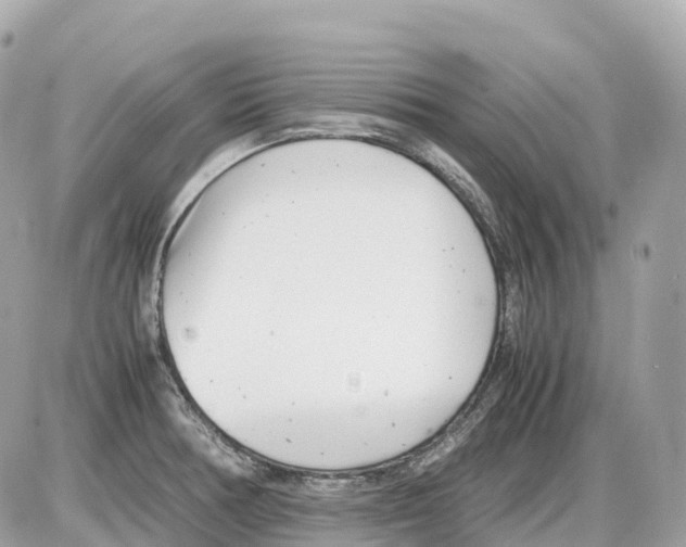 X0000085211378200704091855