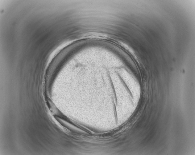 X0000085211379200704091855