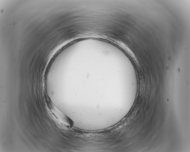 X0000085211380200704091855