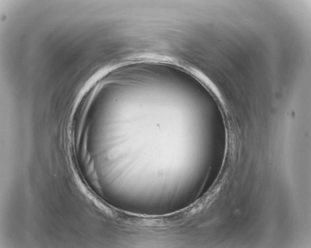 X0000085211381200704091855